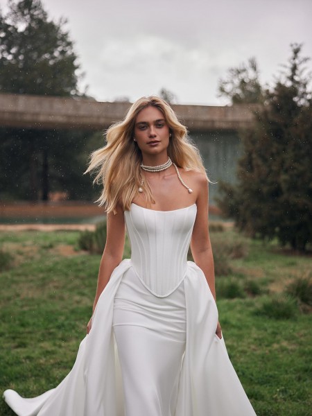 Anisia Anisia